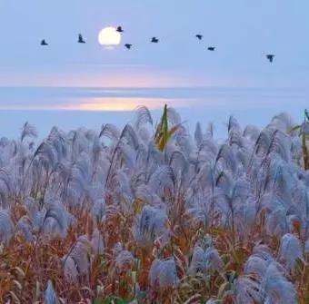 中华传统节日之下元节,被遗忘的传统节日下元节