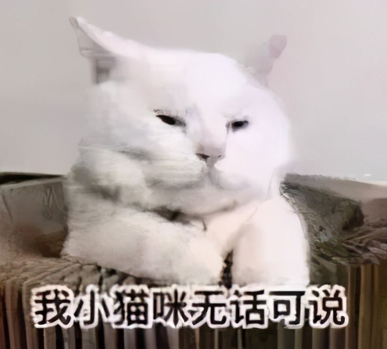 猫咪中暑后如何治疗,猫咪中暑昏厥怎么救