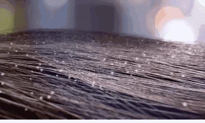 用什么洗发才能变得乌黑闪亮,用什么洗发水能让头发浓密乌黑