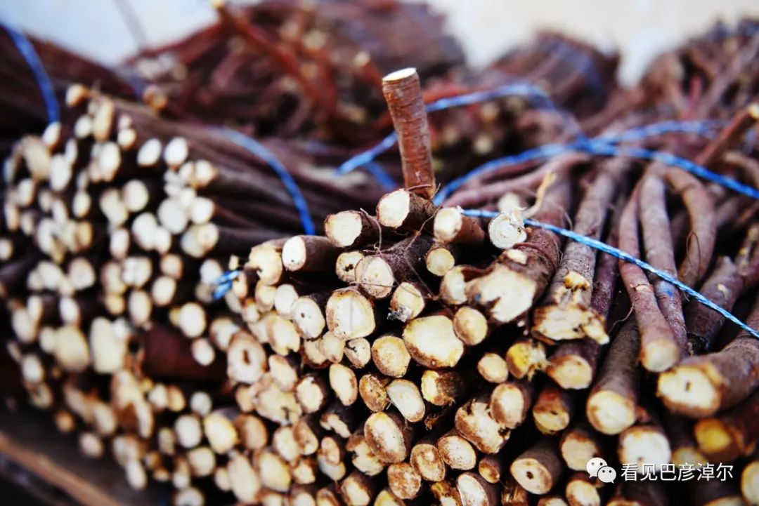 来认识一个不一样的我翻译,来认识不一样的滑雪