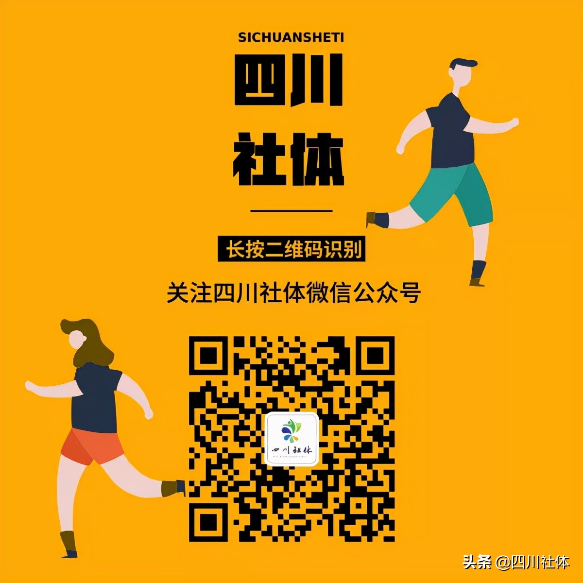 第15届全运会有哪些项目,全运会各个项目排名