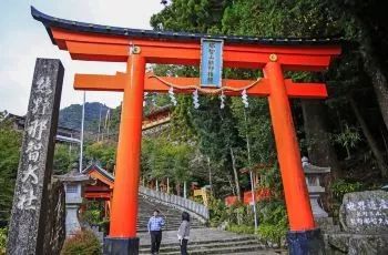 再见了老司机,再见老司机