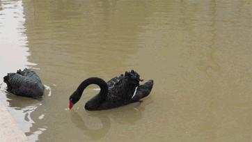 深圳有个建在“空中”的大学，拍照美到爆！