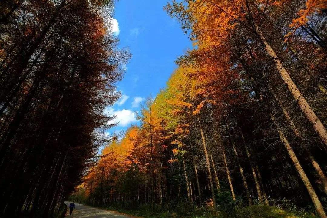 每天带你了解更多知识,每天带你认识一个医学专业