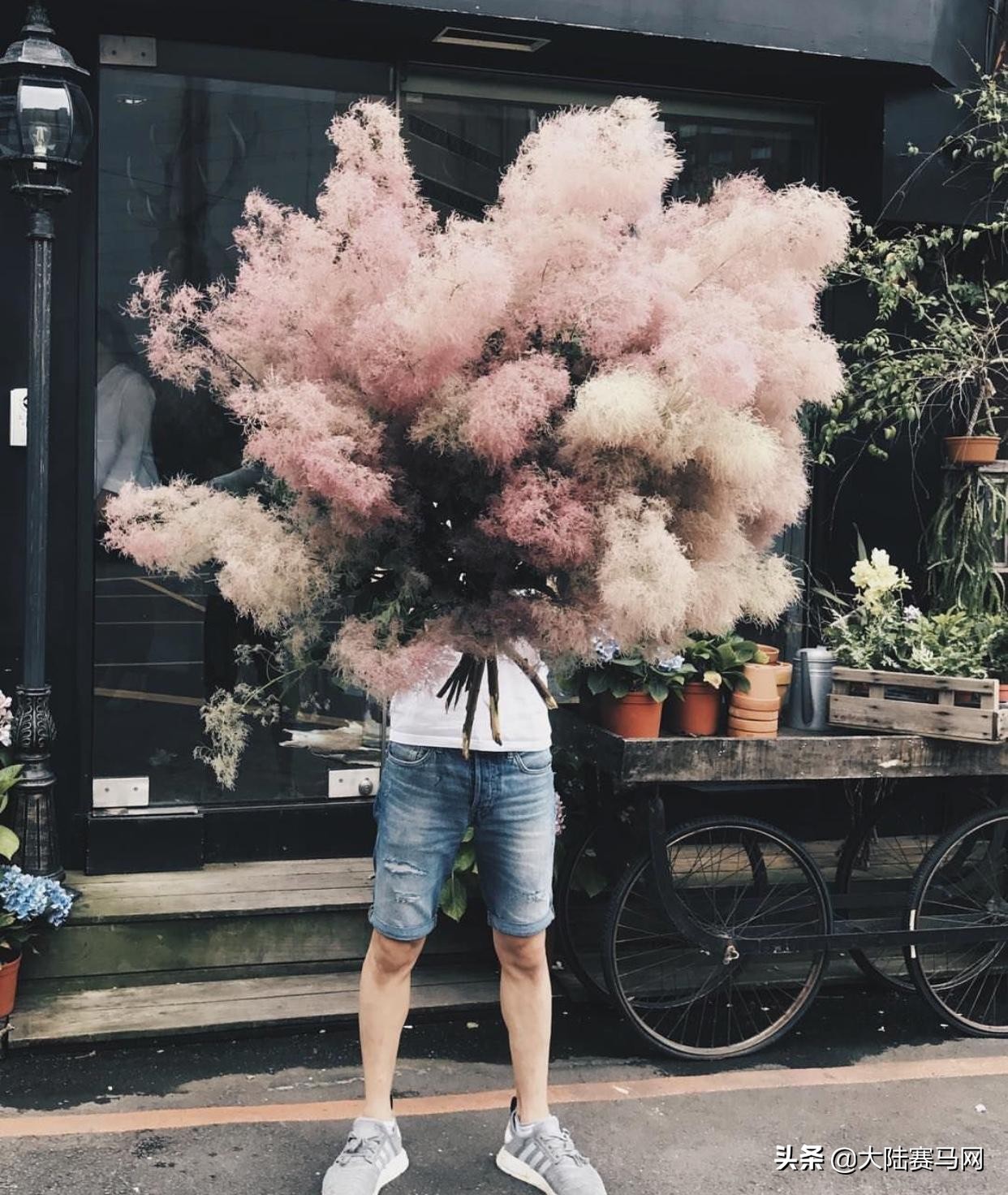 最帅马术王子,马术帅男