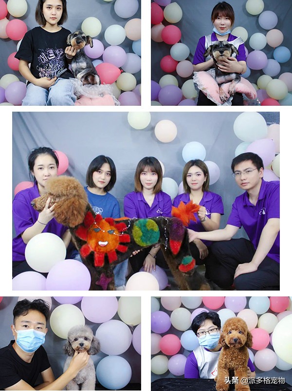 派多格宠物城,派多格宠物连锁广钢新城店