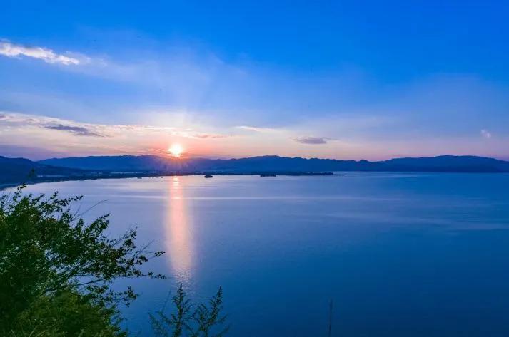 滇池边绝美花海,滇池南岸花海