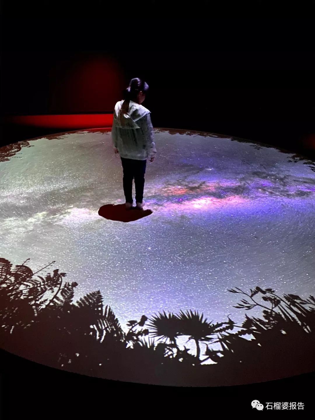 旅行7天,新西兰霍比特人村游记