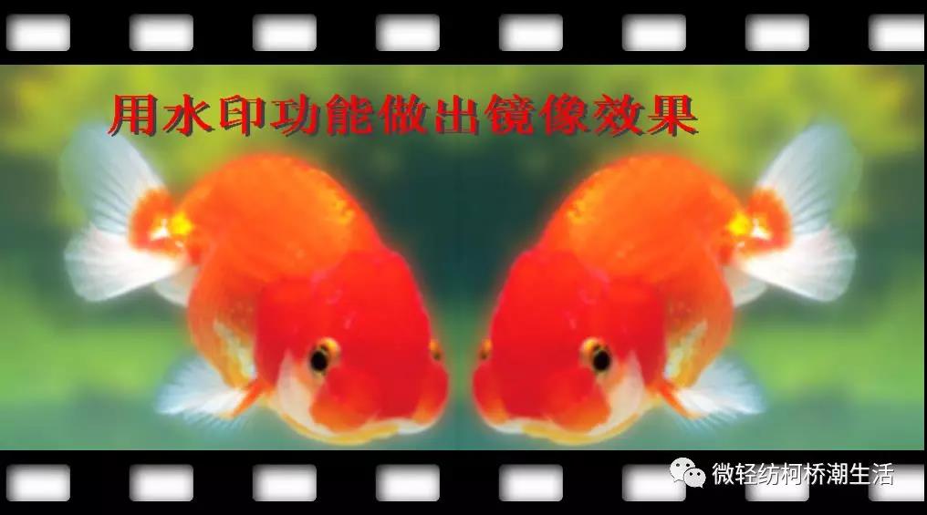 光影魔术手图片变清晰,光影魔术手美化人像