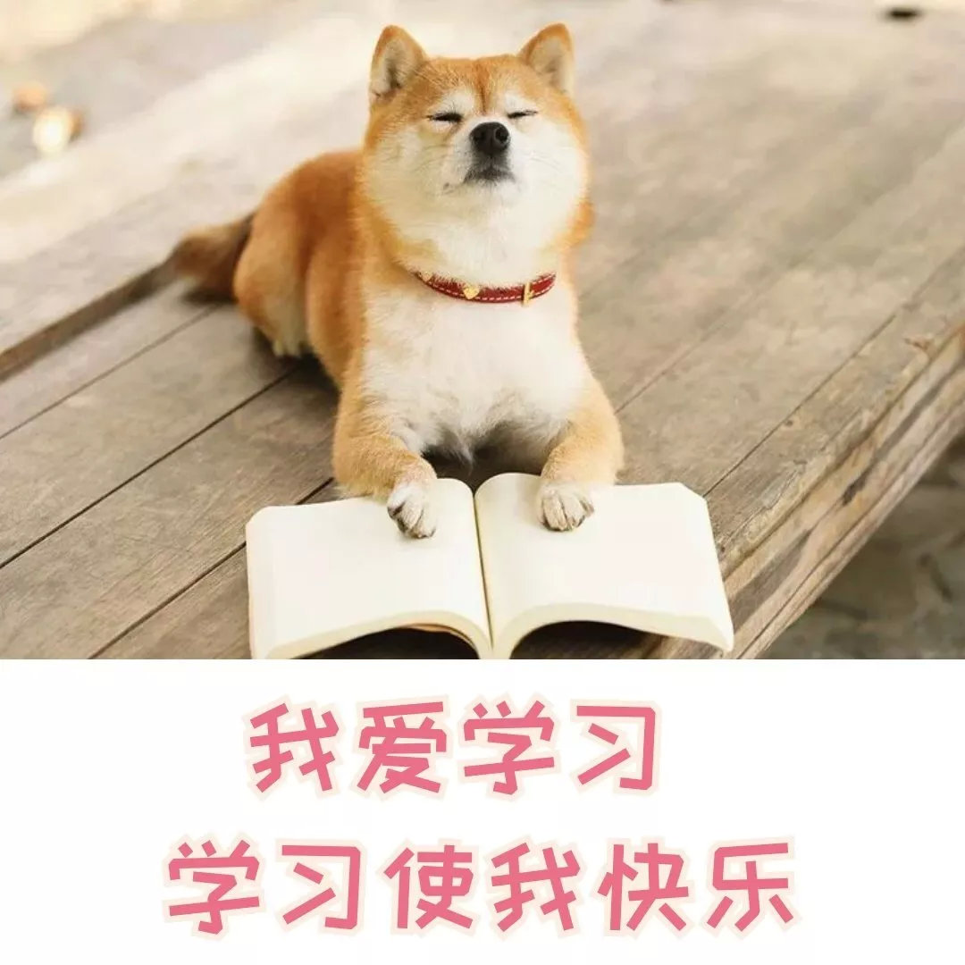 虚拟化网络要学什么,虚拟化中的网络构架