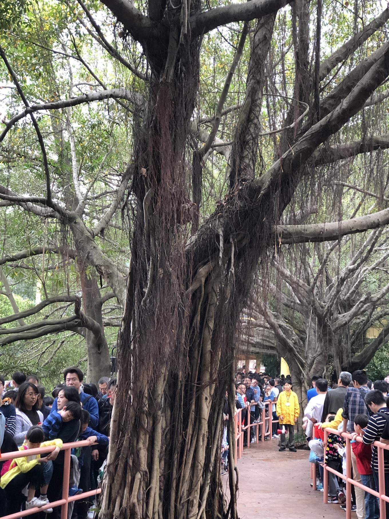 广州长隆四天三晚旅游推荐,4天去广州长隆和珠海看海怎么玩