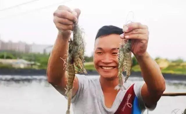 水产养殖农药残留用什么解毒,水产养殖解毒方法