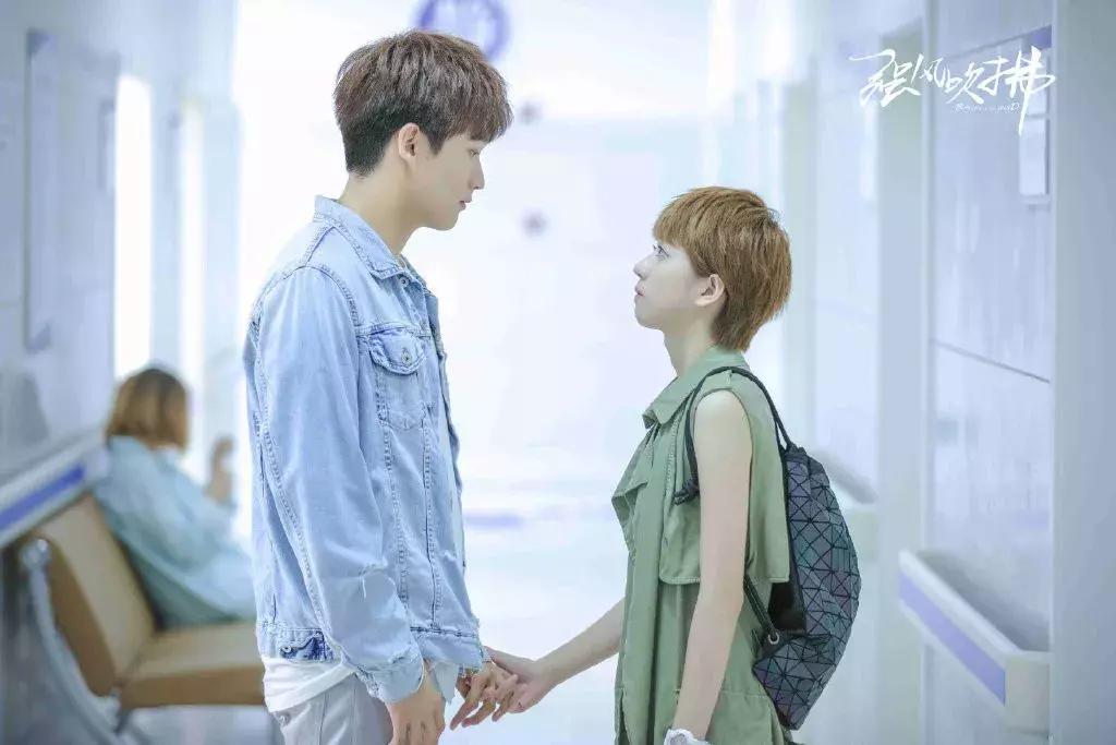 专访光芒影业CEO高铭谦：《强风吹拂》这部青春剧有啥不一样？