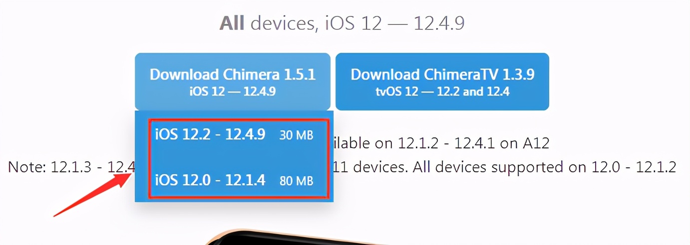 iphone用chimera越狱失败,chimera支持12.5.5越狱吗