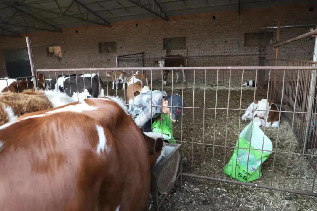 付宝:身残志坚勇创业自强不息谋致富