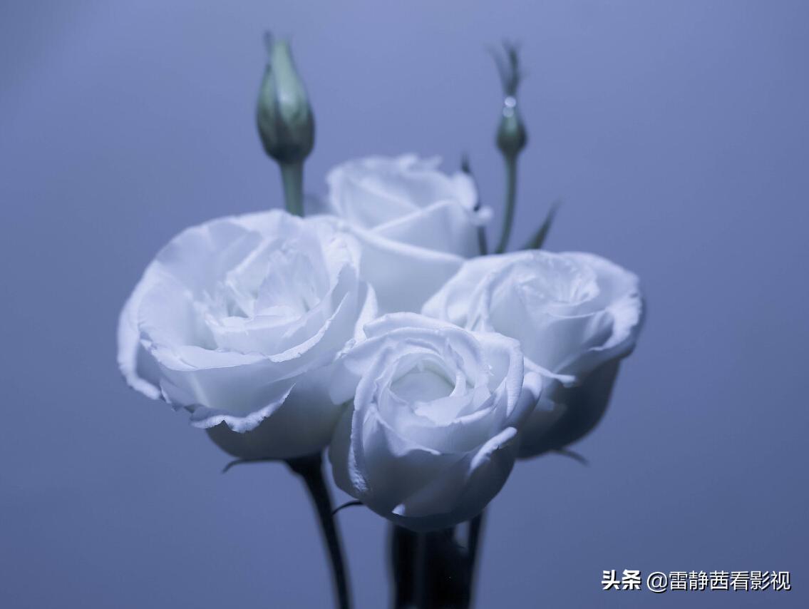 玩笑话其实才是需要认真听的,以玩笑的方式说着真心话怎么表达