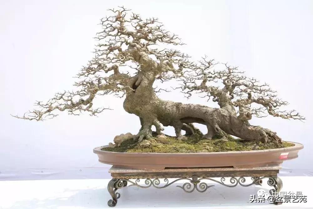 鏈存爲寰楀鐩嗘櫙,椤剁骇鏈存爲鐩嗘櫙娆ｈ祻