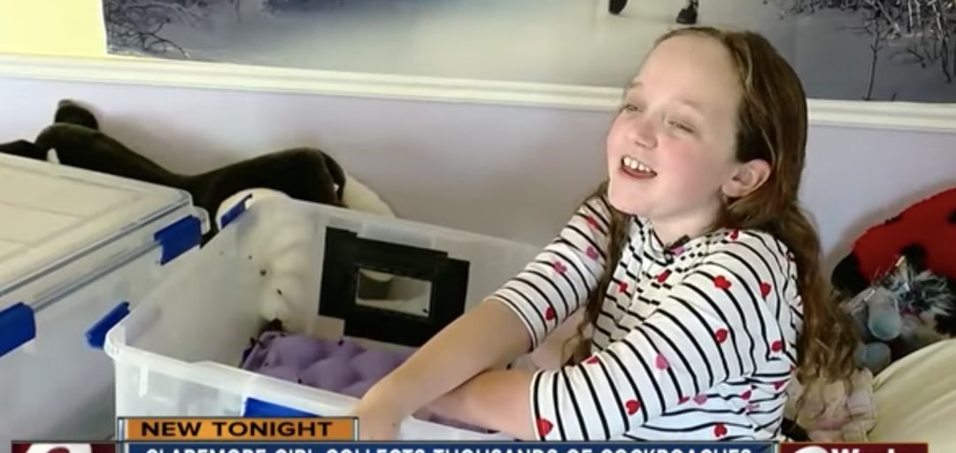 澳洲男子养宠物,澳洲男子养袋鼠做宠物