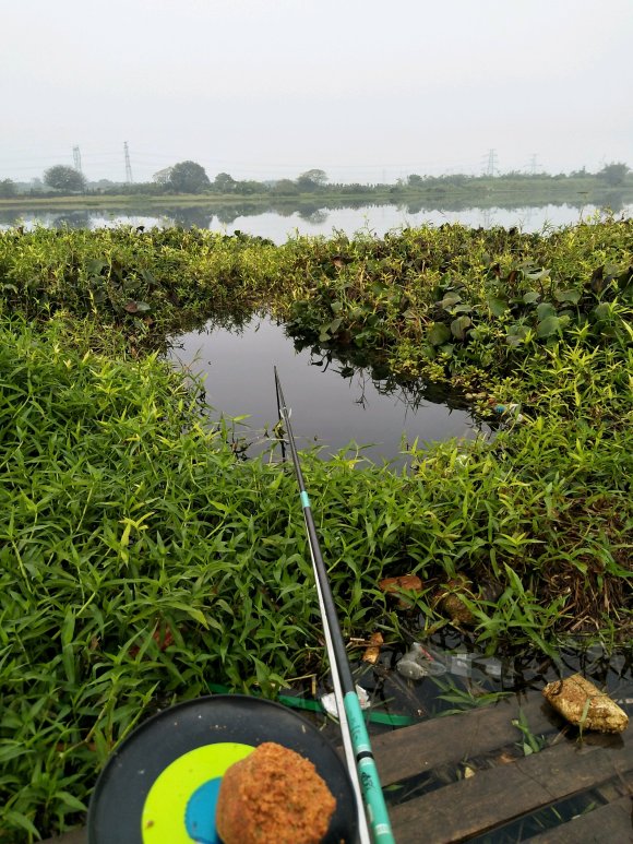 野钓如何记得打窝的点,野钓打窝避小鱼