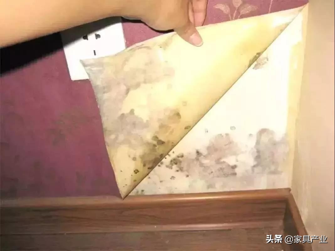南方人家里一年四季都在发霉？这份除霉秘籍快收好