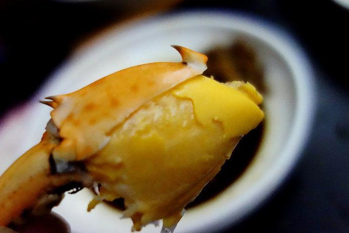 中国十大名蟹大闸蟹 (黄油蟹和大闸蟹有什么区别)