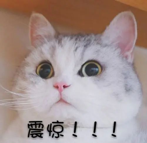 冒充公检法诈骗盯上海外留学生,留学生国外被诈骗国内怎么报案