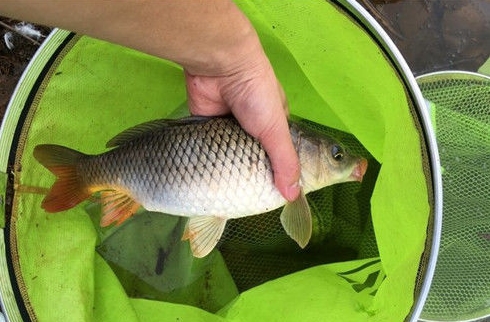 如何找到一个钓鱼窝子,找到一个好钓点