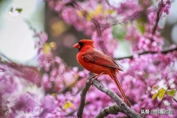 没有必要为自己买单 (做人别透支自己的人情)