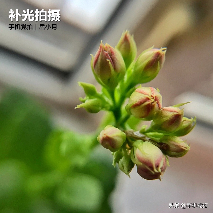 手机拍照模糊如何修复清晰度,手机画质模糊怎么办