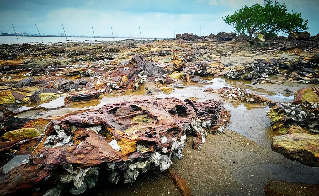 漳州古镇游玩,漳州市旅游古镇有哪些