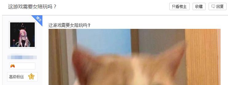 女玩家到底有多可怕,女玩家到底能有多魔怔