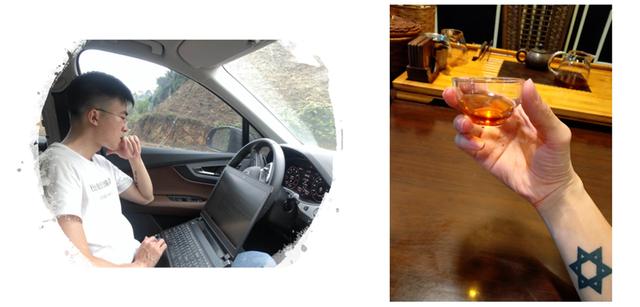 寻茶百树,六堡茶千种茶中必有适合你的茶