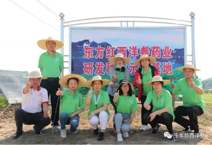 国大药房头条事件,国大药店事件