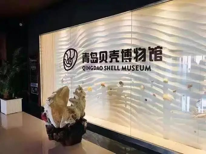 青岛博物馆打卡攻略,北京必打卡的宝藏博物馆