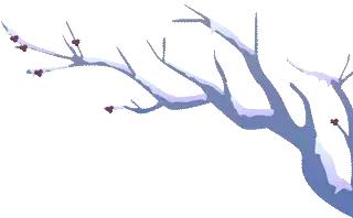 抚顺热高丛林乐园游玩项目,抚顺热高丛林乐园