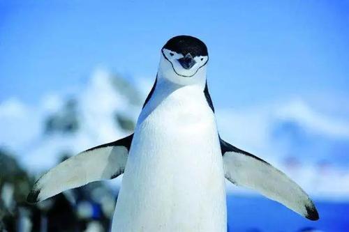 山海经中哪些是人类发现的,山海经中哪些真实存在的生物