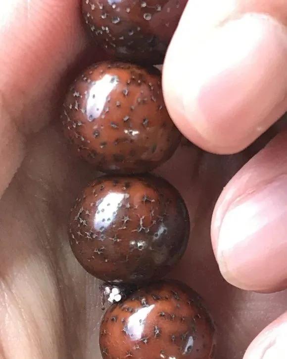 星月菩提如何盘出厚包浆,星月菩提怎么盘更容易包浆