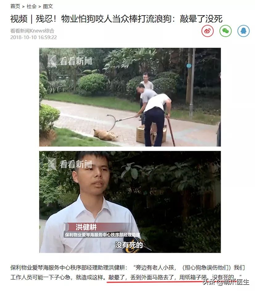 物业给小区流浪猫绝育视频,业主凑20万给流浪猫绝育