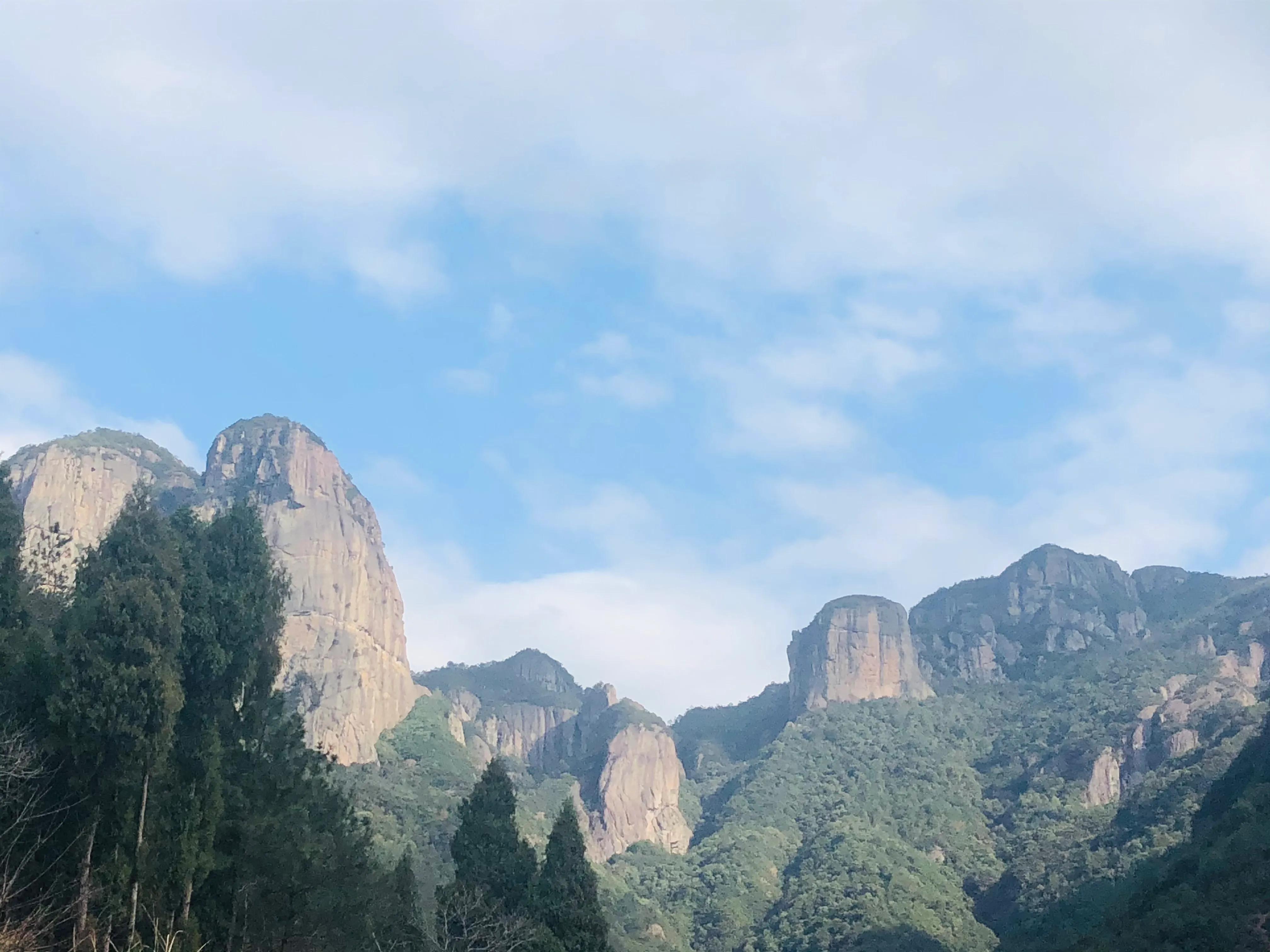 误打误撞进入传说中的八角金盘