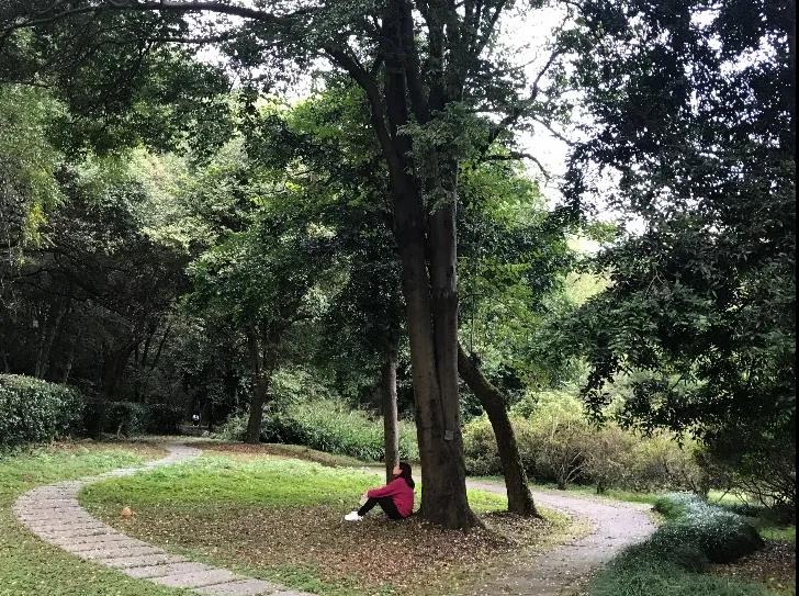 约会大自然,约会武汉