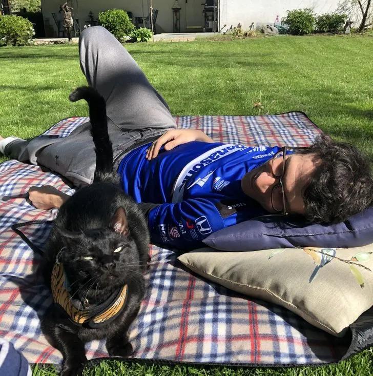 氛围感治愈温柔猫咪图片2张,带有人物与猫咪的温馨治愈图