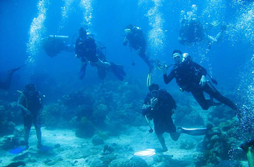 如何学会学习——科学学习高效学习