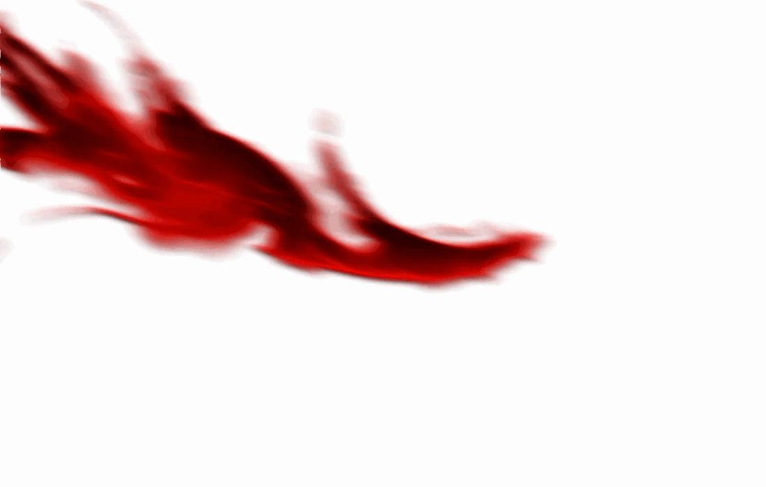 dnf国服特色职业排行,dnf技能形态好的职业2021