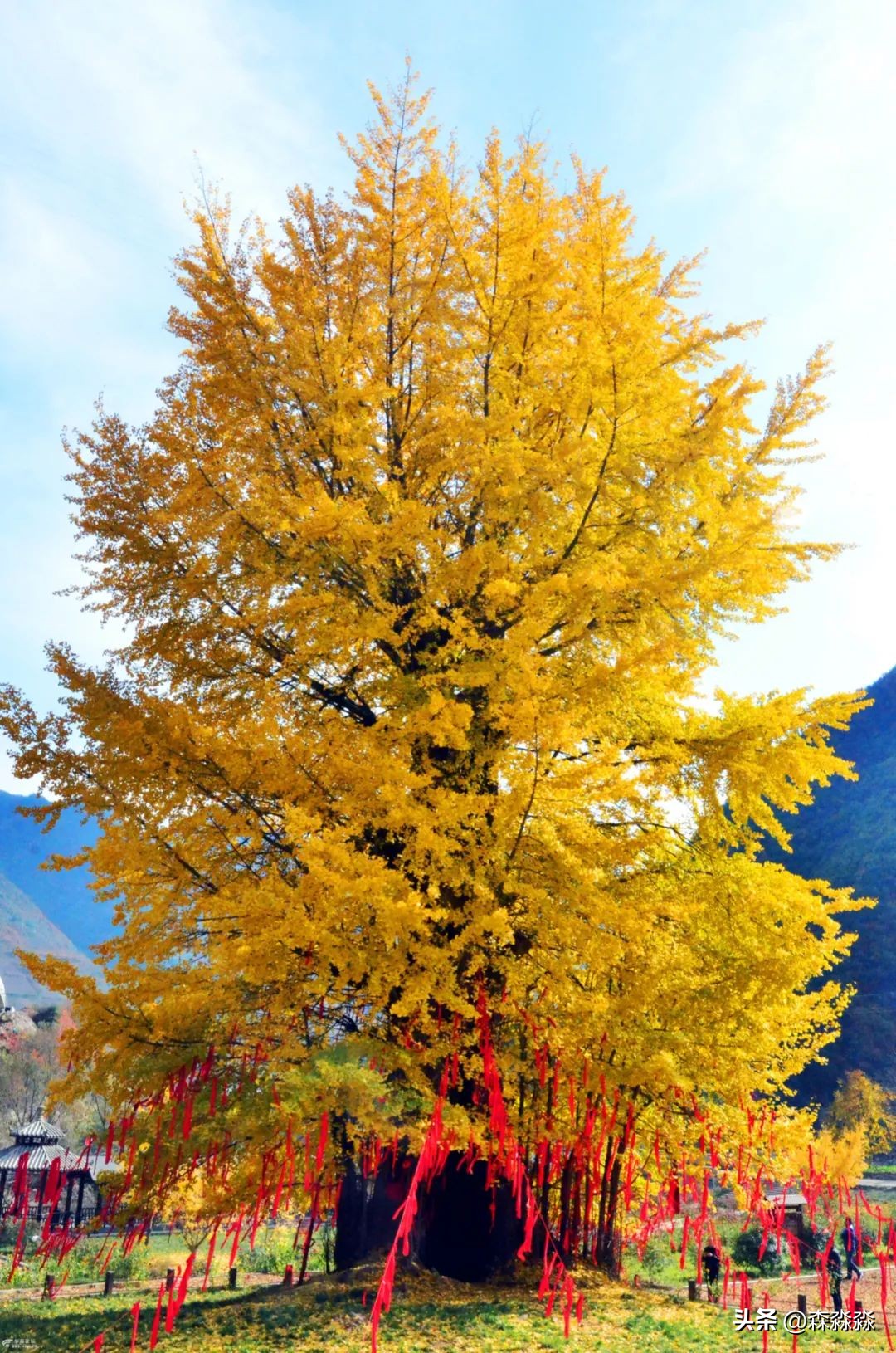 秦岭赏秋怎么玩才好玩呢,大秦岭山旅游攻略