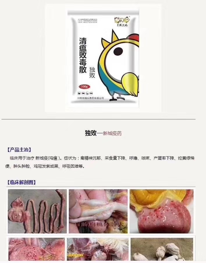 养鸡技术与鸡病治疗,鸡病呼吸道治疗