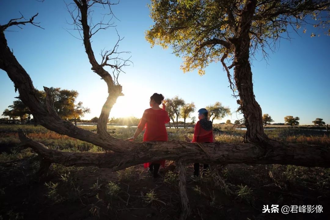 2018年最值得感动的时刻,对于2018你最大的收获是什么