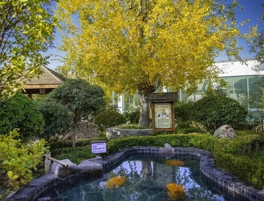 回归大自然享受田园,回归大自然享受大自然的馈赠