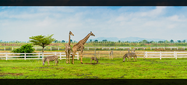 最新玩转泰国攻略,泰国旅游漫游