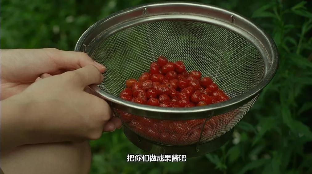 小森林治愈自己,小森林治愈歌