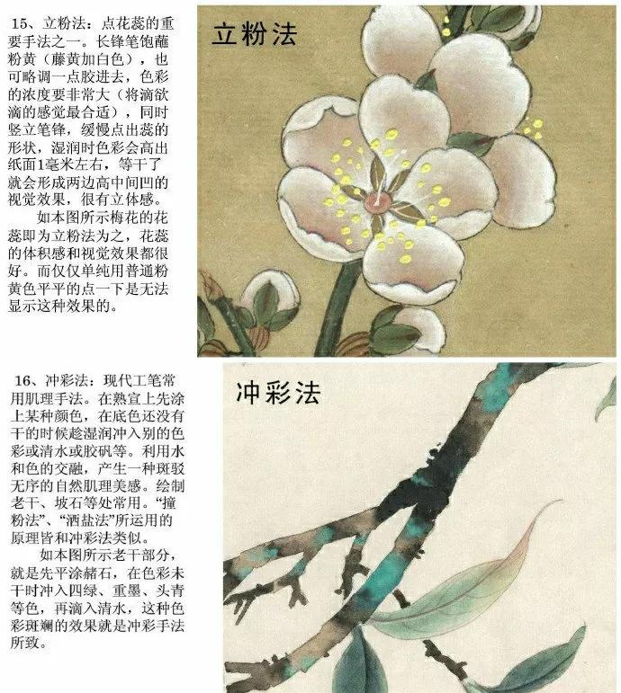 中国花鸟画国画教学,宋代工笔花鸟画表现技法